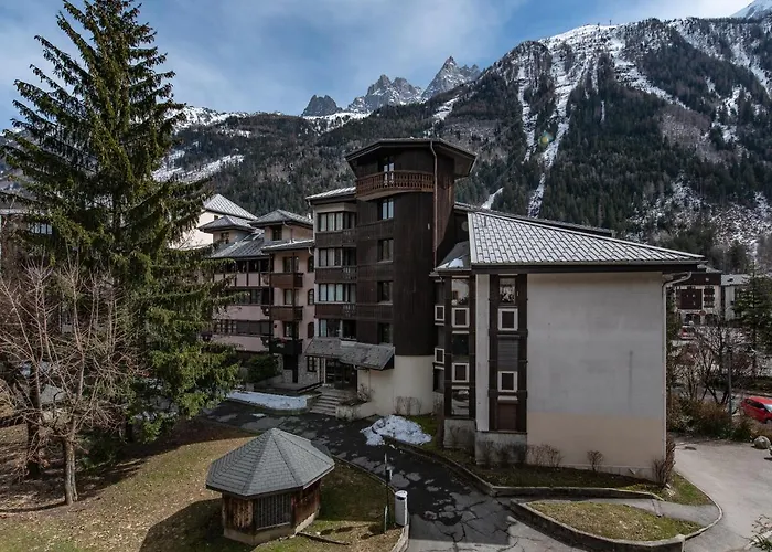 Vue Montagne Parking Prive Balcon 公寓 霞慕尼